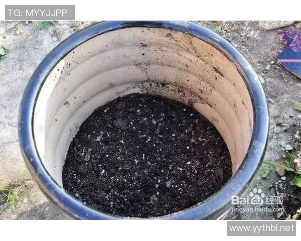 蛙泳技巧训练全攻略提升速度与耐力的科学方法与实用技巧