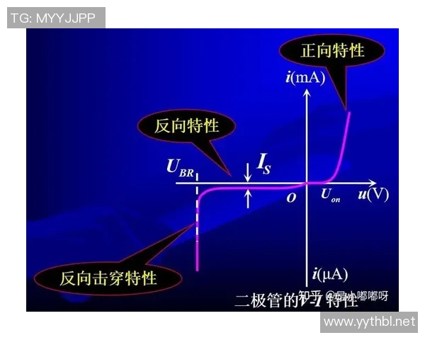 杭州排球队灵活性分析与战术创新的深度探讨